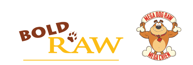 boldraw_logo.png