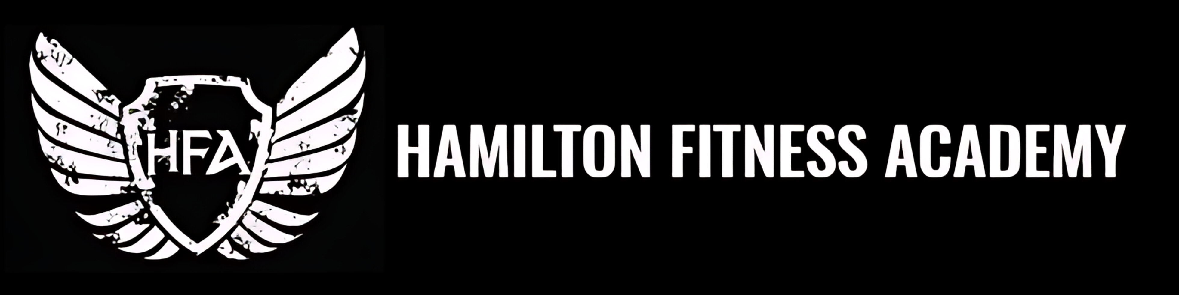 Hamilton Fitness Academy
